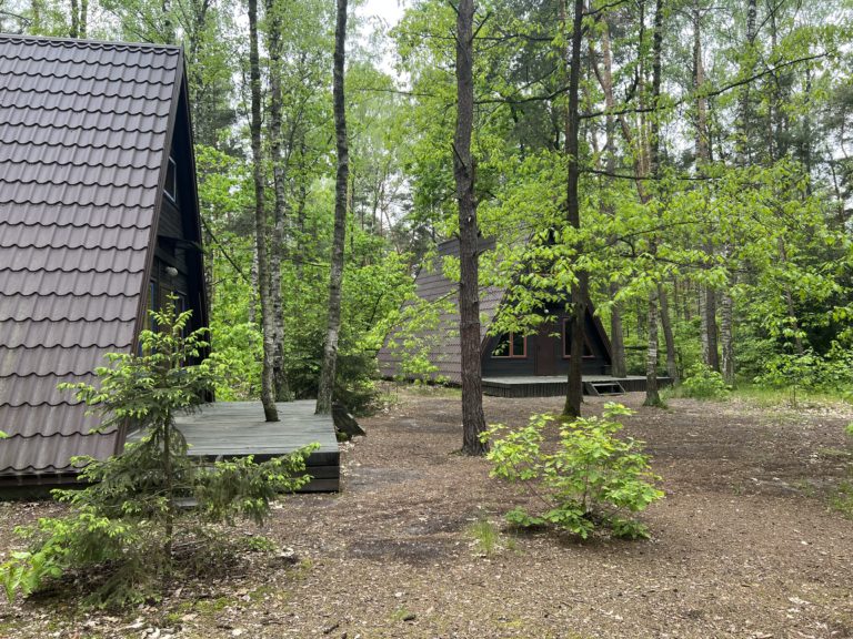 Domki w Wildze – wypoczynek w lesie pod Warszawą 